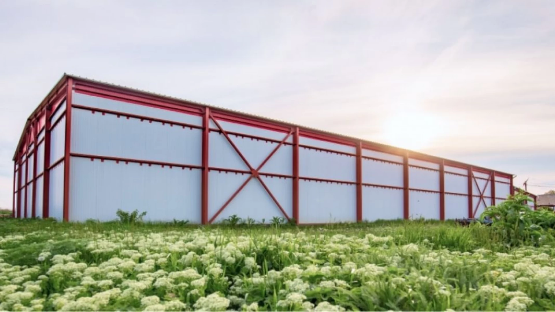 Дезинфекция озоном O3 в промышленных холодильниках и холодильных камерах