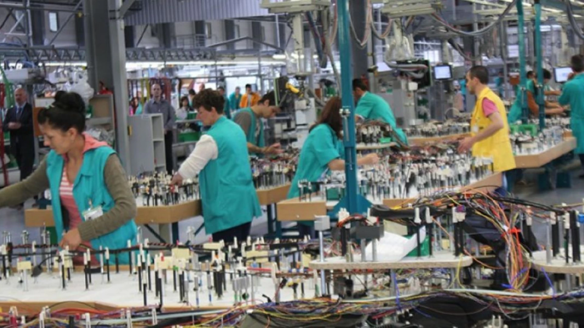 Борьба с вредителями, дезинфекция, дезинфекция озоном O3 для заводов