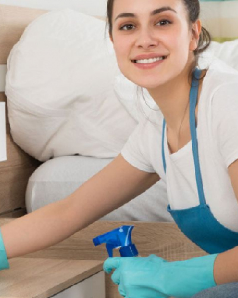 The secret of professional cleaning The secret of professional cleaning