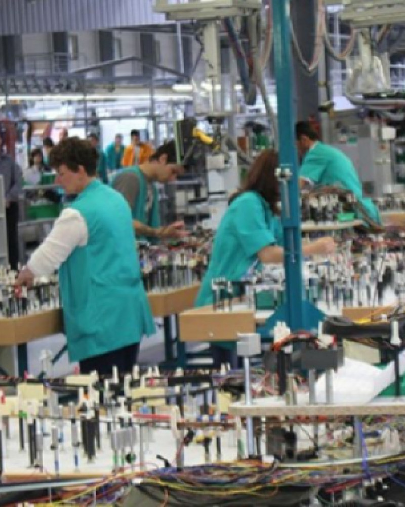 Pest control, disinsection, disinfection with ozone O3 for factories Pest control, disinsection, disinfection with ozone O3 for factories