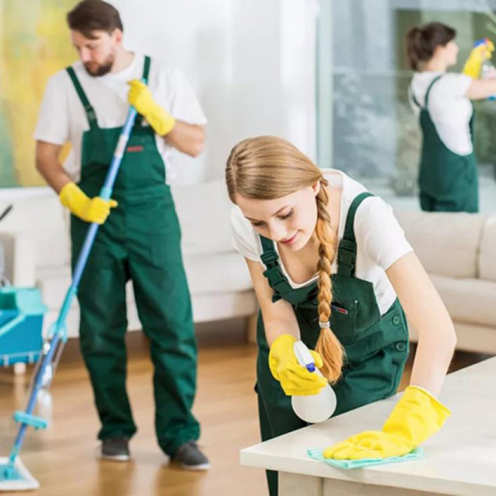 General cleaning of the apartment