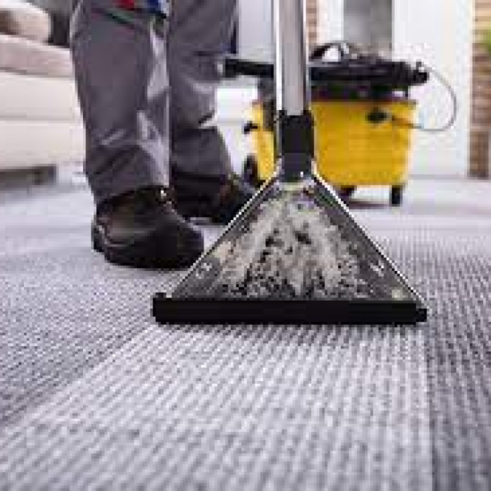 Professional carpet cleaning
